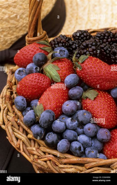 A BASKET of BERRIES .